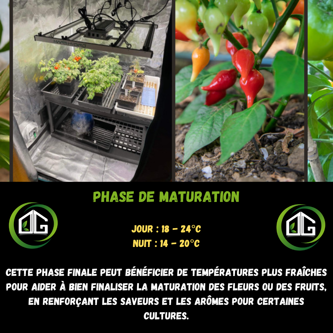 Température idéale en chambre de culture Optimal Grow — free download